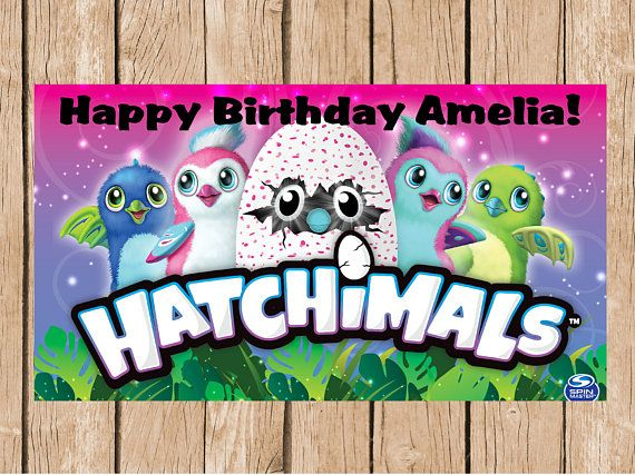 Hatchimals Vinyl Birthday Banner Kids Birthday Party Birthday Banner 