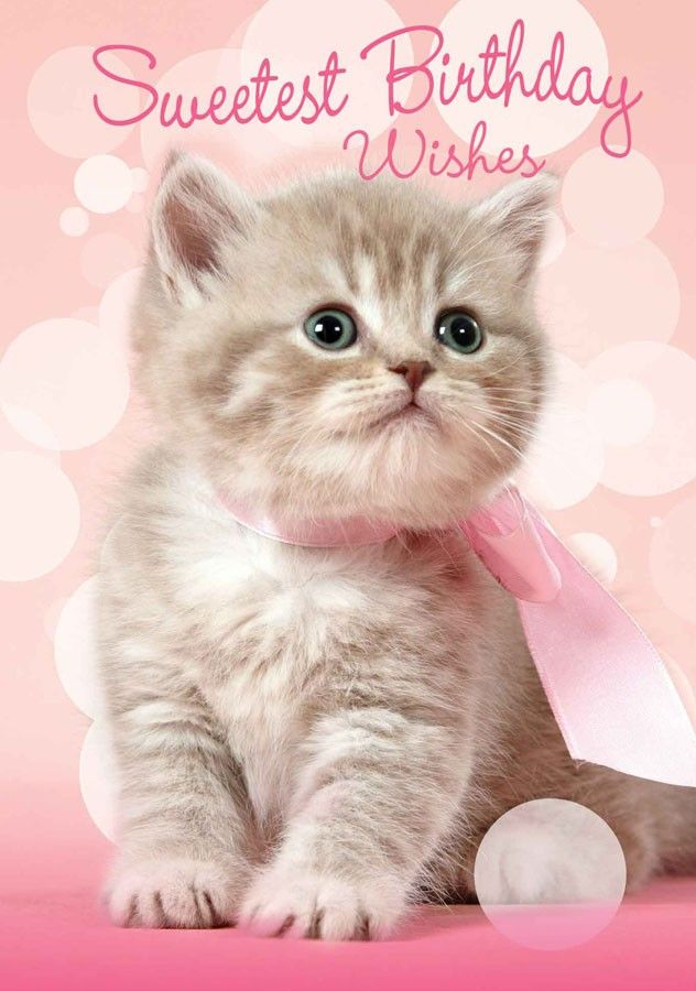 Pin By Bhuvana Jayakumar On Happy Birthday Happy Birthday Cat Happy