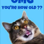 Pin On Things That Make Me Giggle