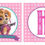 Pink Paw Patrol Skye And Everest Happy Birthday Printable Ribbon Banner