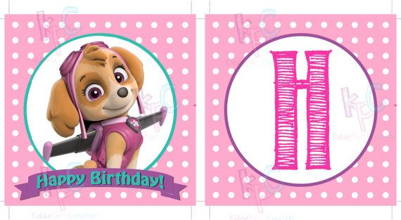 Pink Paw Patrol Skye And Everest Happy Birthday Printable Ribbon Banner 