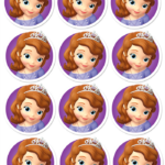 Sofia The First Birthday Party Free Printable Mini Kit Oh My Fiesta