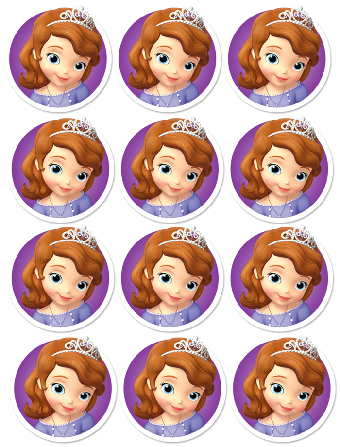 Sofia The First Birthday Party Free Printable Mini Kit Oh My Fiesta 