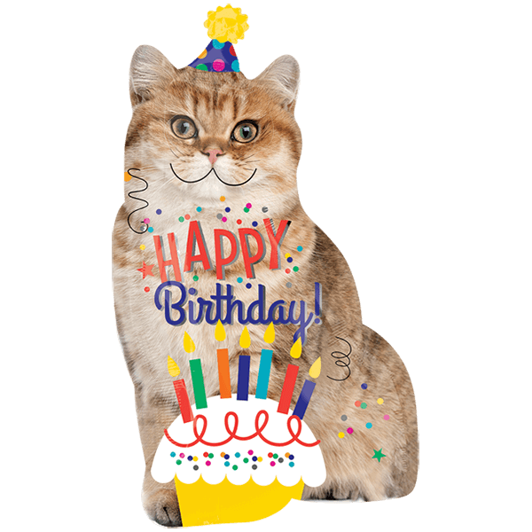Birthday Cake Cat Kitten Balloon Cat Png Download 600 600 Free